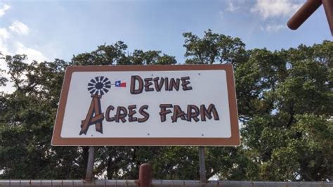 devine acres farm reviews|devine acres farm san antonio.